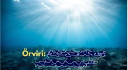 What Is örviri? – All You Need To Know In 2023