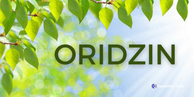 Elevate Your Wellbeing With Oridzin – The Ultimate Guide In 2023